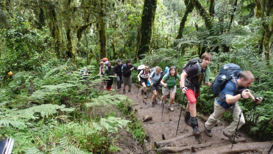 How Difficult is the Kilimanjaro Marangu Route for Beginners